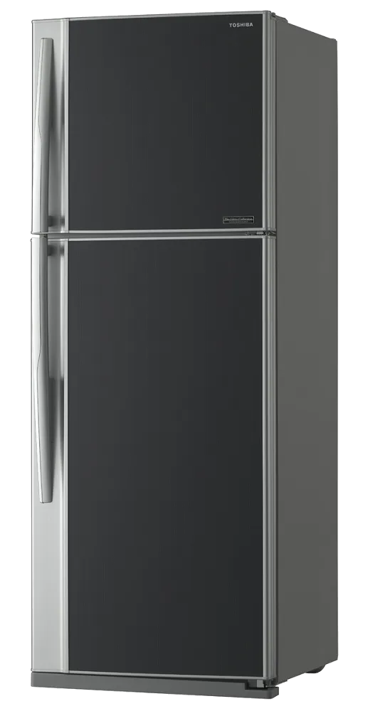 холодильник Toshiba GR-RG 74 RD